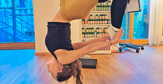 Aerial Yoga Workshop