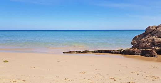 feel well woman retreat