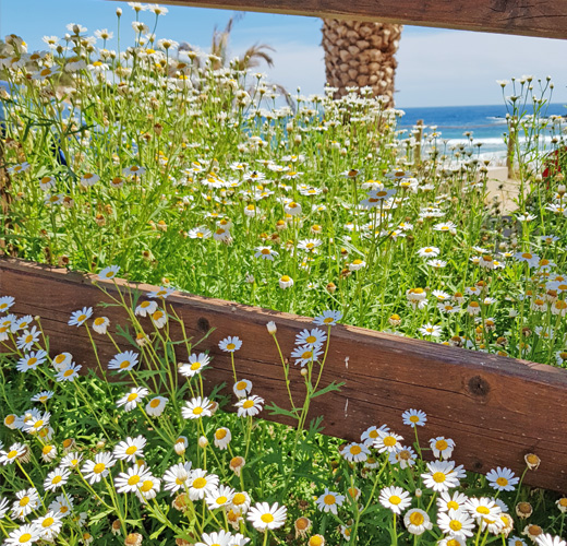 feel well woman retreat