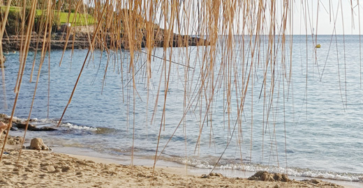 Yoga retreat Mallorca
