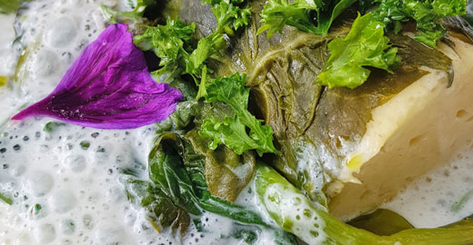 detox fitness & basisch statt sauer